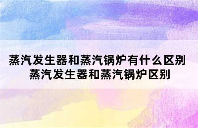 蒸汽发生器和蒸汽锅炉有什么区别 蒸汽发生器和蒸汽锅炉区别